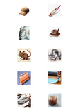 Montessori Flash Cards-Karachi Montessori Store