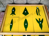 Botany Cabinet (Leaf)-Karachi Montessori Store